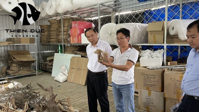 Thien Duc Farm Vietnam - Premium Aquarium Fish