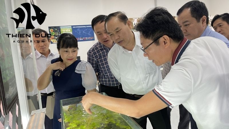 Thien Duc OFI Membership - Quality and Sustainability