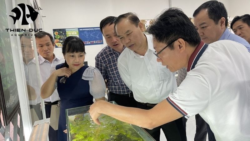 Top rated fish exporter: Praised by clients worldwide