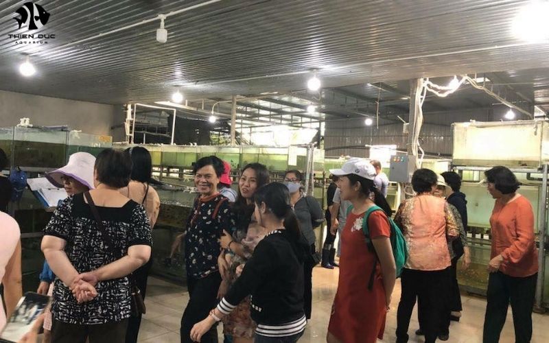 Tropical Fish Farms for Importers: Direct Sourcing Benefits