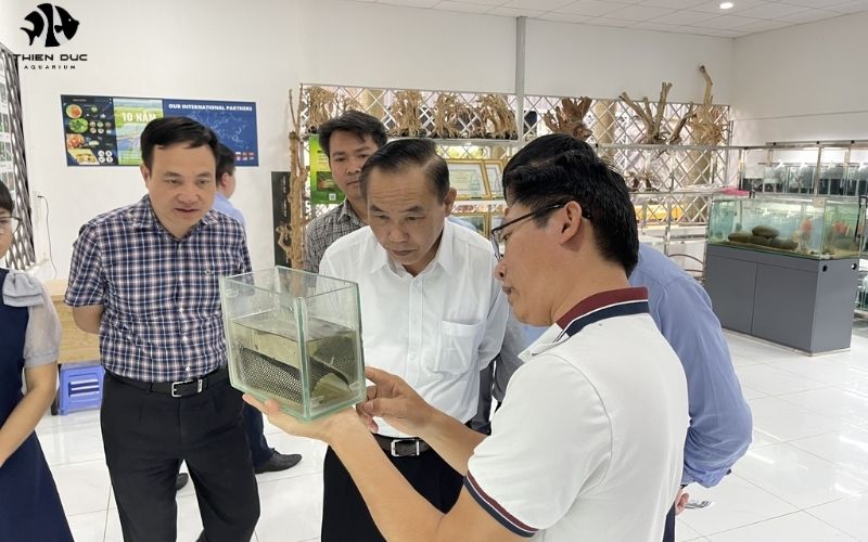 The Importance of Choosing the Right Tropical Fish Wholesale Distributor