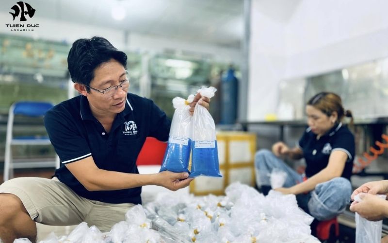 Tropical Fish Wholesalers: Navigating the Challenges and Rewards