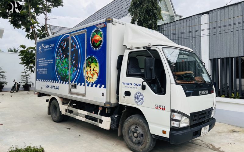 Wholesale aquarium fish: Trusted sources for retailers