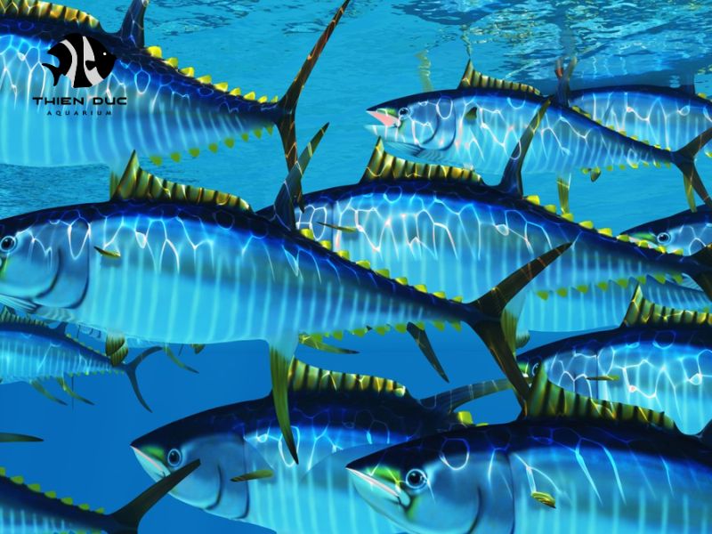 Wholesale Aquarium Fish for Resale: Profit-Making Strategies