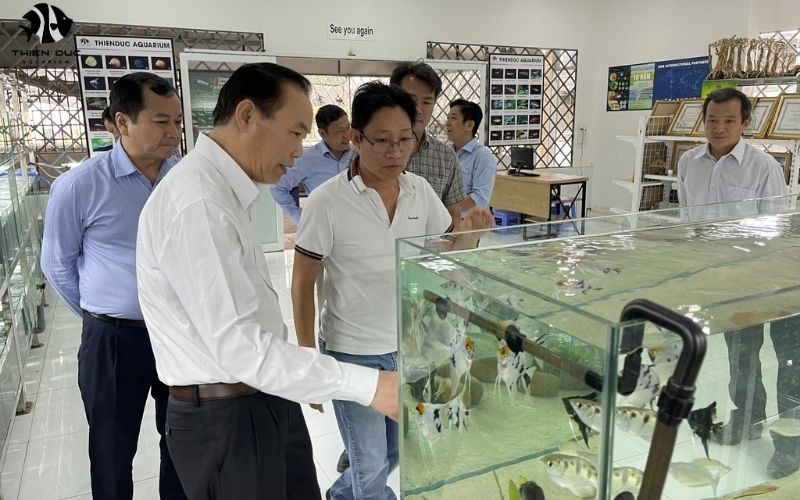 Wholesale Fish Market for Aquariums: Insider's Guide