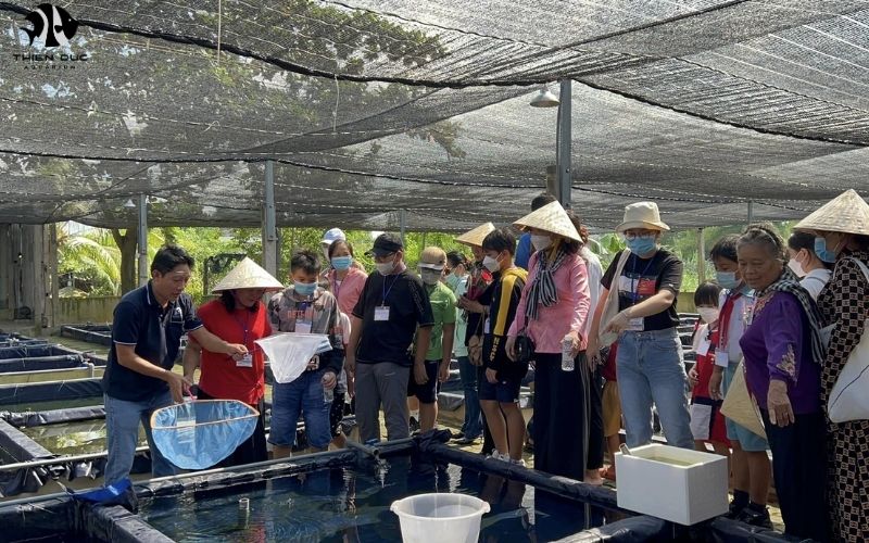 Wholesale tropical fish: Top suppliers for your aquarium