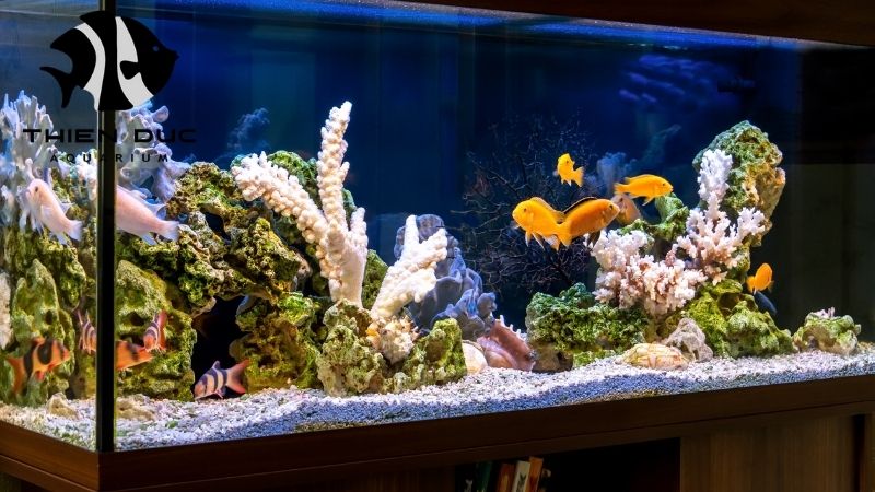 Aquarium wood for sale