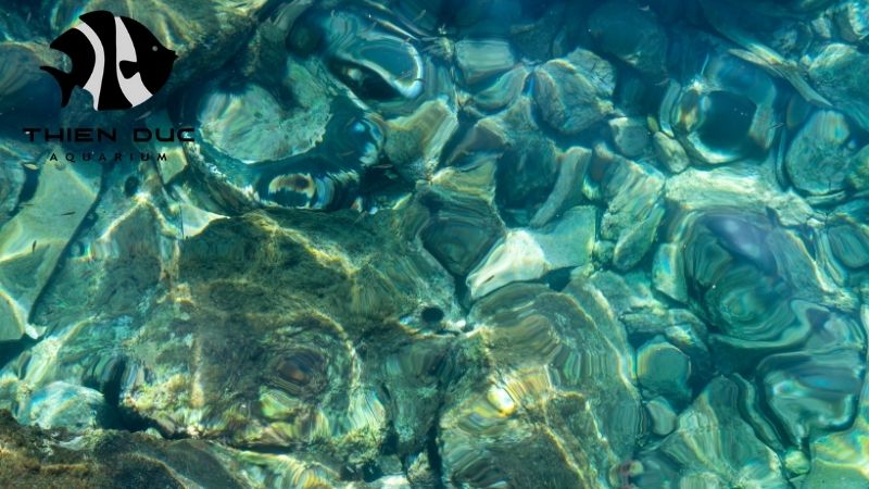 Aquascaping stone exporter