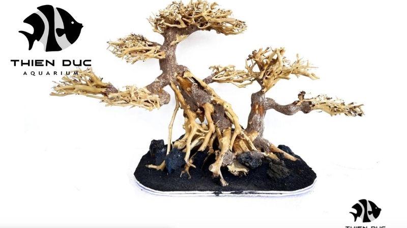 Aquascaping wood exporter