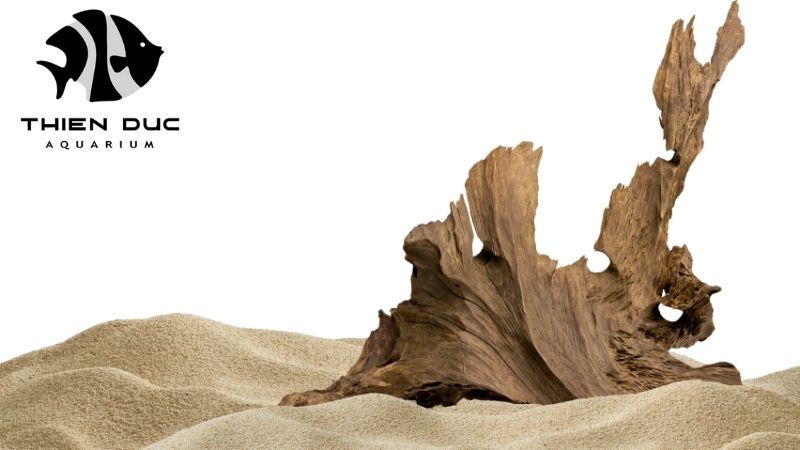 Aquascaping wood exporter