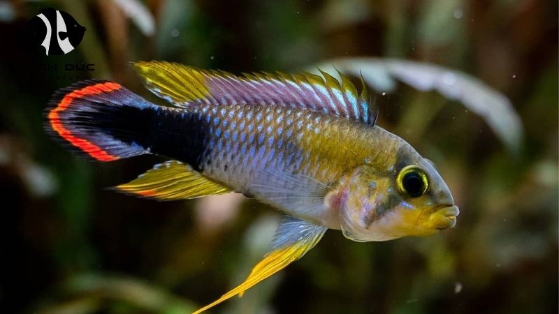 HACCP Certified Fish Farm