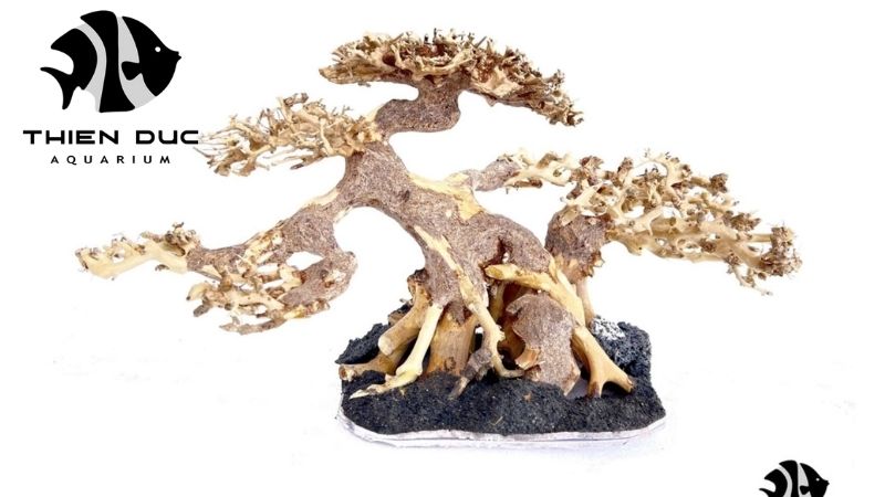 Manzanita driftwood for aquarium