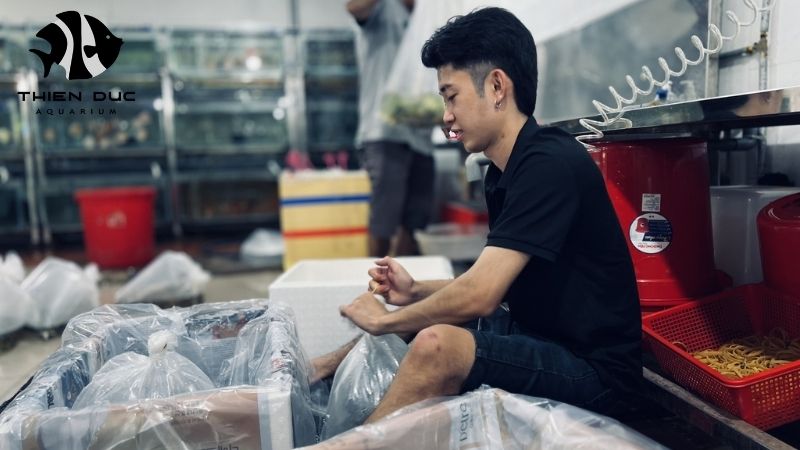 Mixed shipment live fish