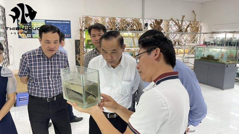 Thienduc Aquarium reputation