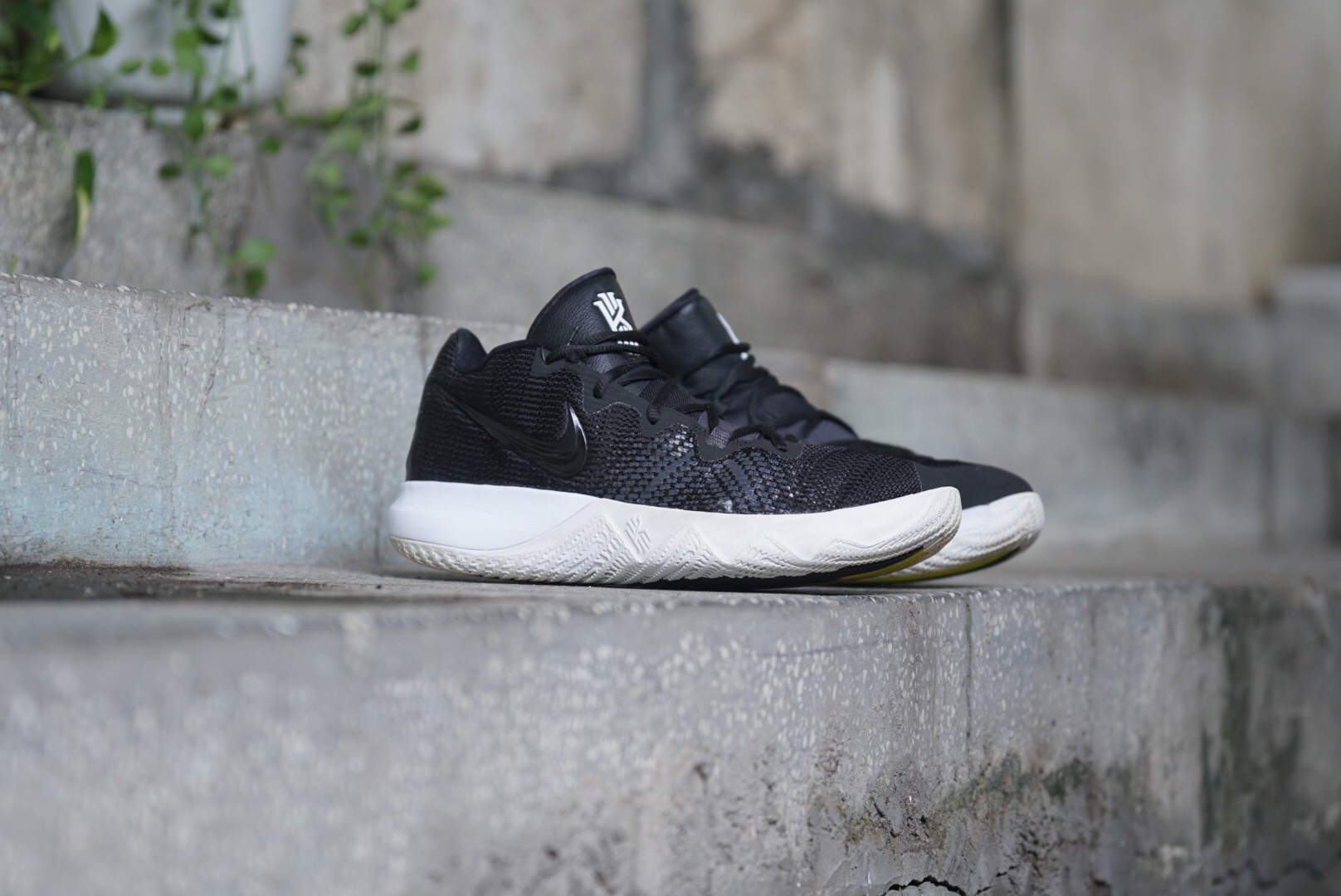 Kyrie flytrap giá sale