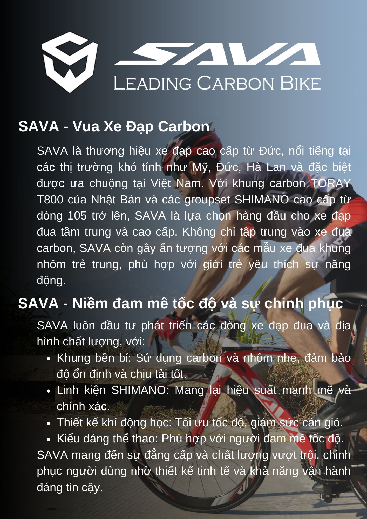 CATALOGUE SAVA BIKE