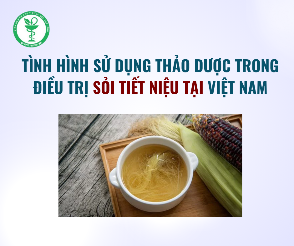Tình hình sử dụng thảo dược trong điều trị Sỏi tiết niệu tại Việt Nam