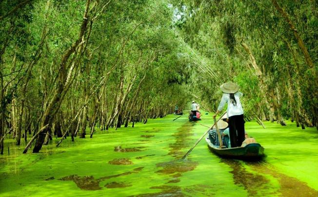 Tour Hà Nội  - Cần Thơ - Hậu Giang - Rừng Tràm Trà Sư - Châu Đốc - Cần Thơ - Hà Nội 4 ngày 3 đêm