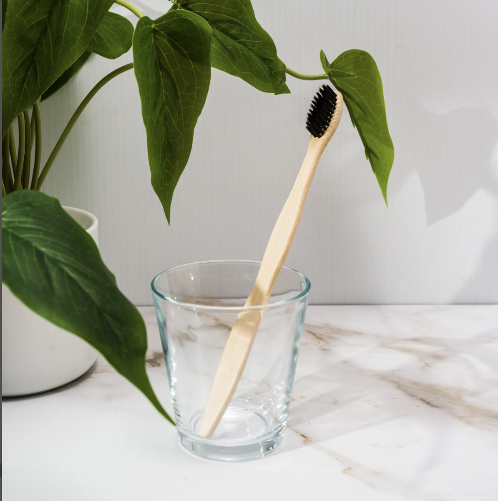 Bàn chải tre thân thiện môi trường cho cá nhân/ khách sạn/ resort/ khu du lịch - Bamboo Toothbrush