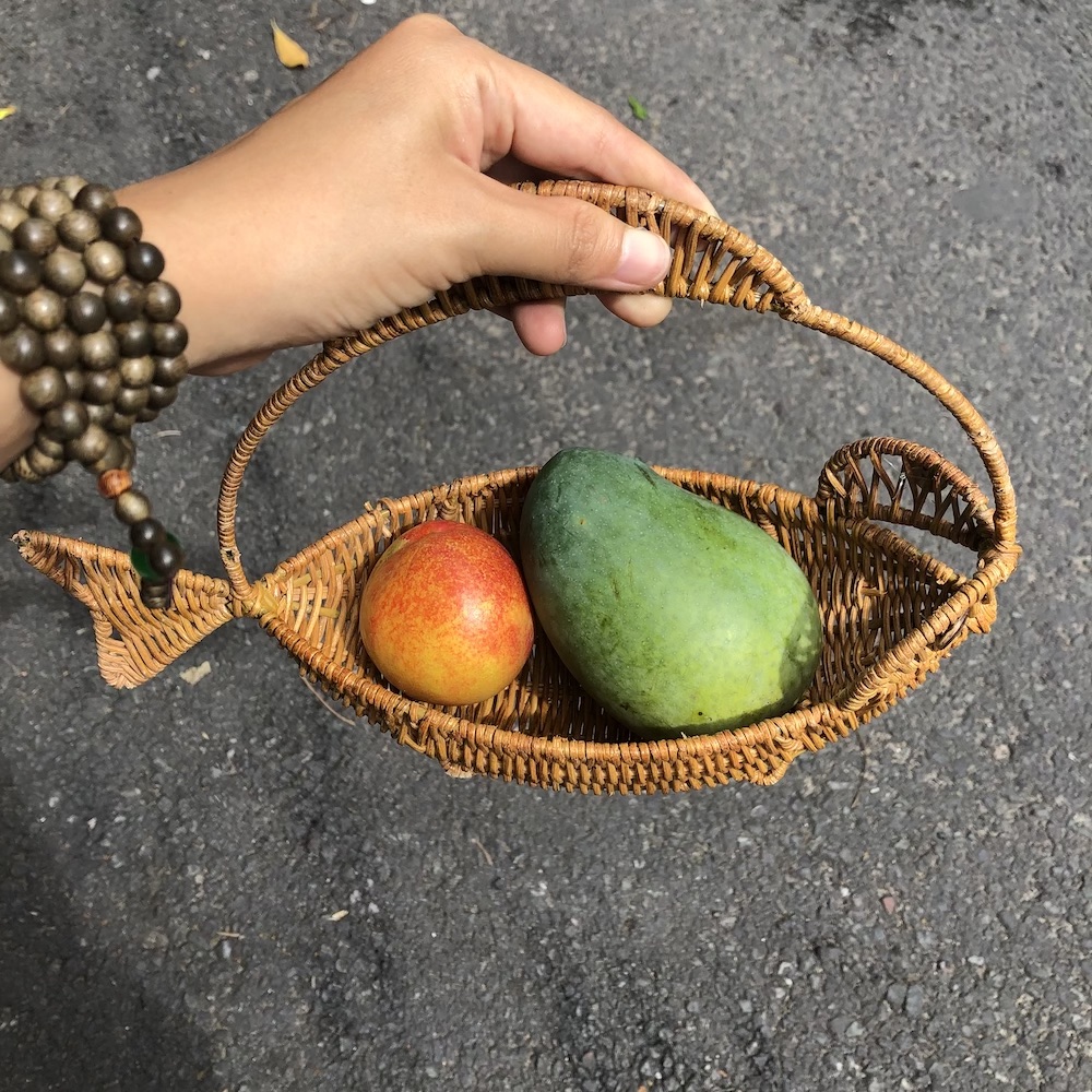 Rổ mây trang trí decor hình con cá đựng trái cây/ bánh kẹo