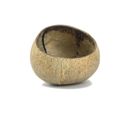 Chén gáo dừa thô - Raw Coconut Shell Bowl