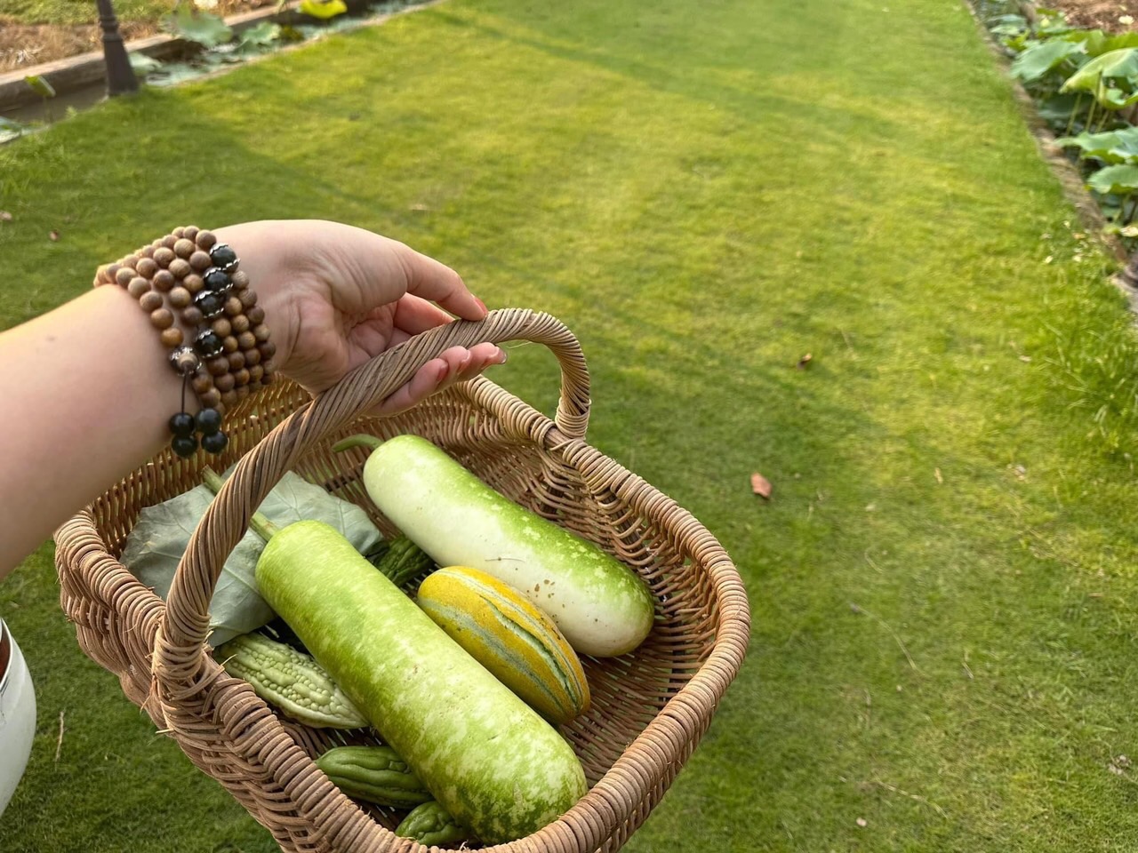 Giỏ Mây Picnic Đựng Đồ Đa Năng (không nắp không lót) - Picnic Basket