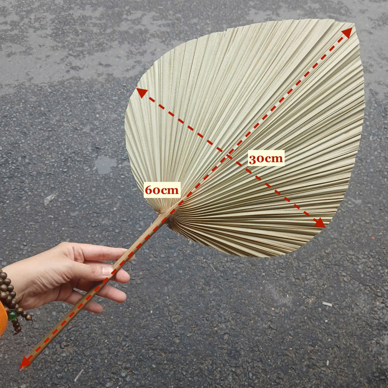 Quạt Lá Cọ - Quạt Cầm Tay Đan Thủ Công Decor / Treo tường