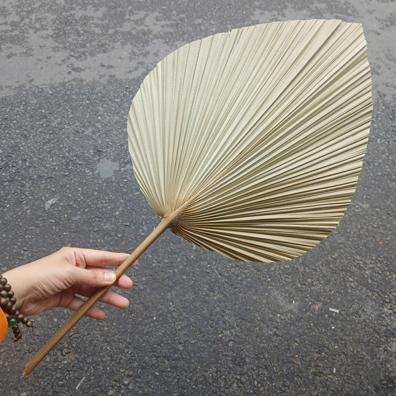 Quạt Lá Cọ - Quạt Cầm Tay Đan Thủ Công Decor / Treo tường