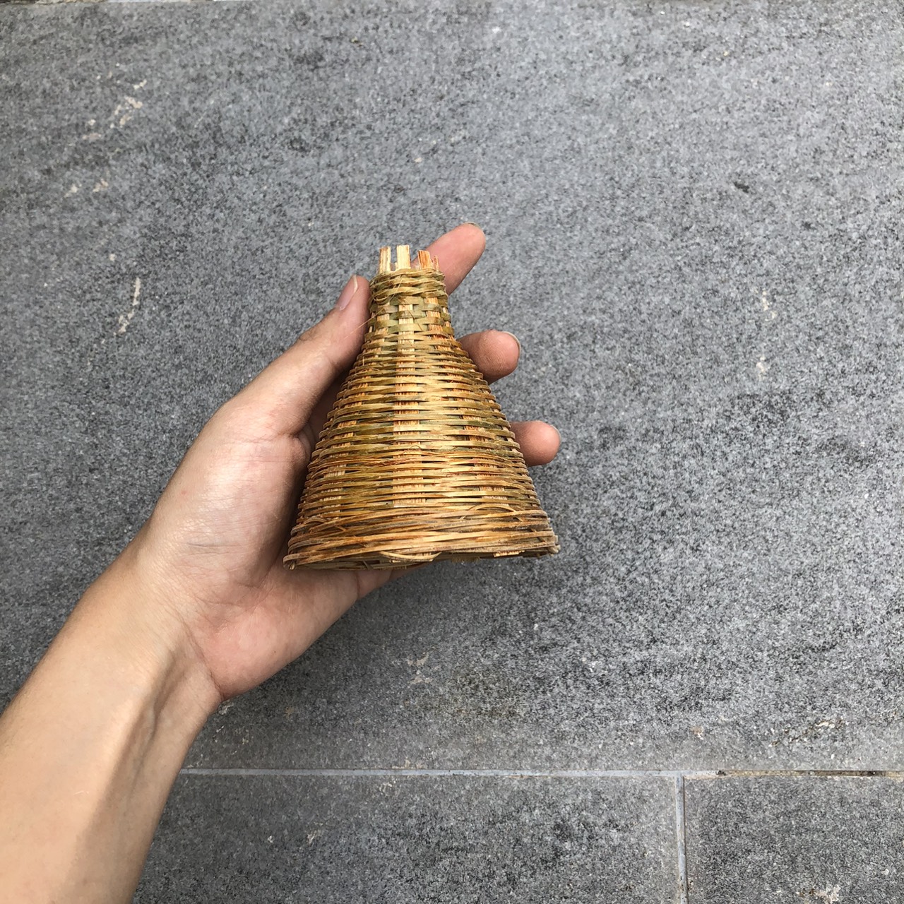 Mây Tre Mini Decor - Mây tre nhí phụ kiện chụp hình