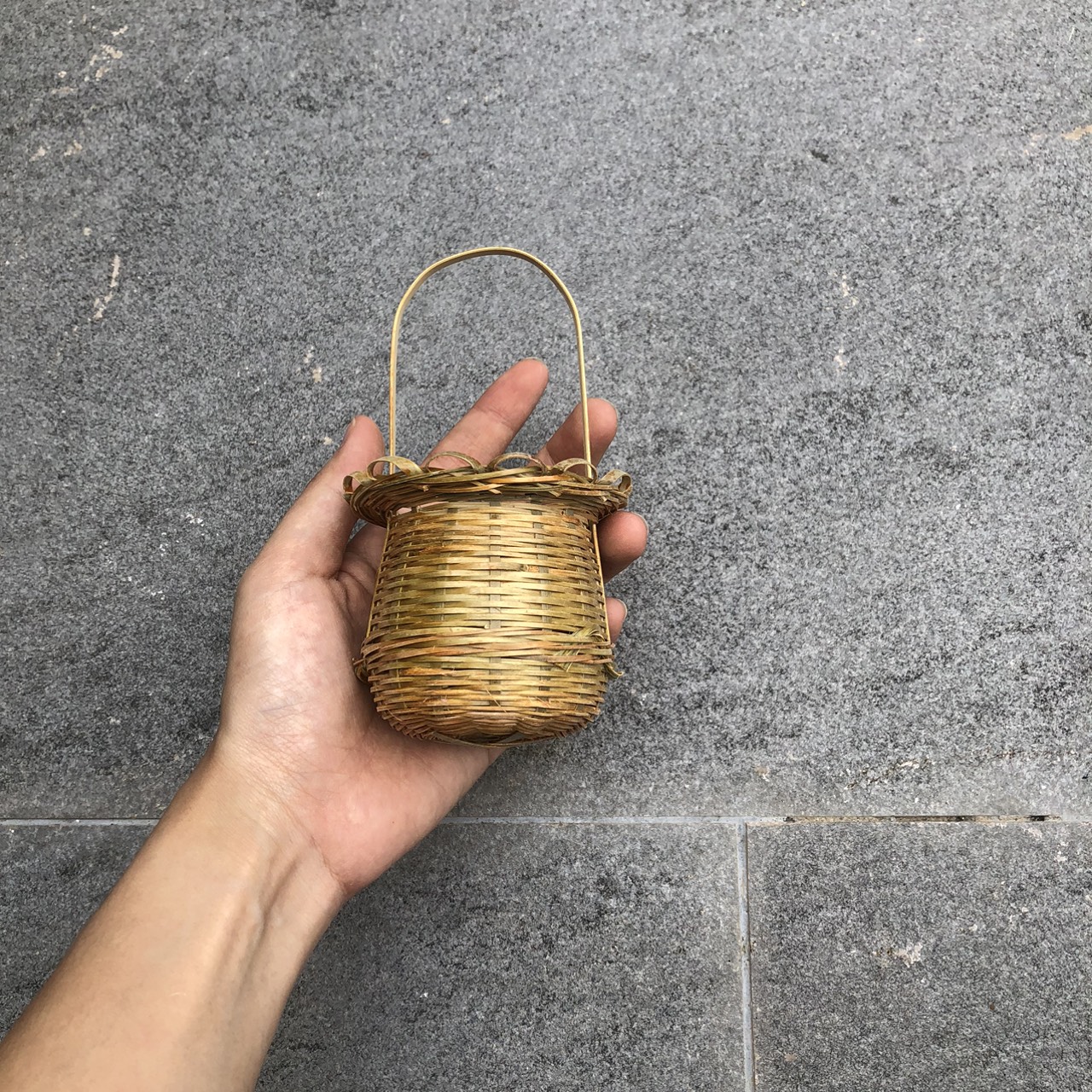 Mây Tre Mini Decor - Mây tre nhí phụ kiện chụp hình