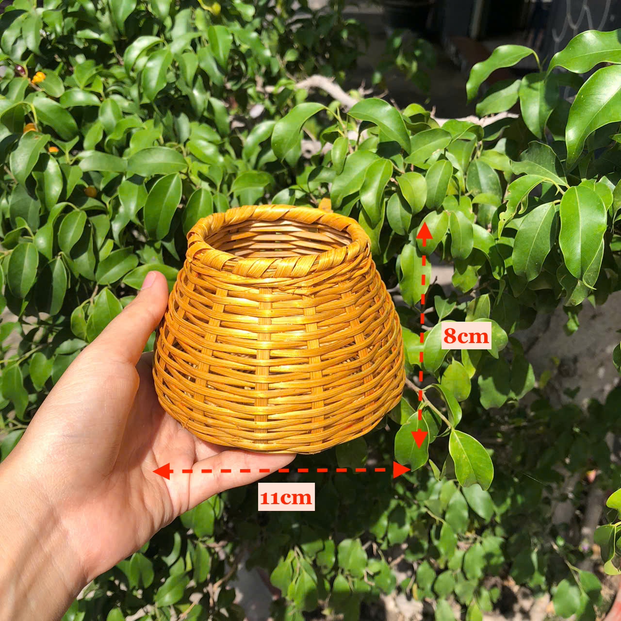 Mây Tre Mini Decor - Mây tre nhí phụ kiện chụp hình