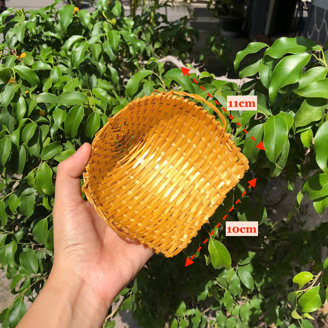 Mây Tre Mini Decor - Mây tre nhí phụ kiện chụp hình