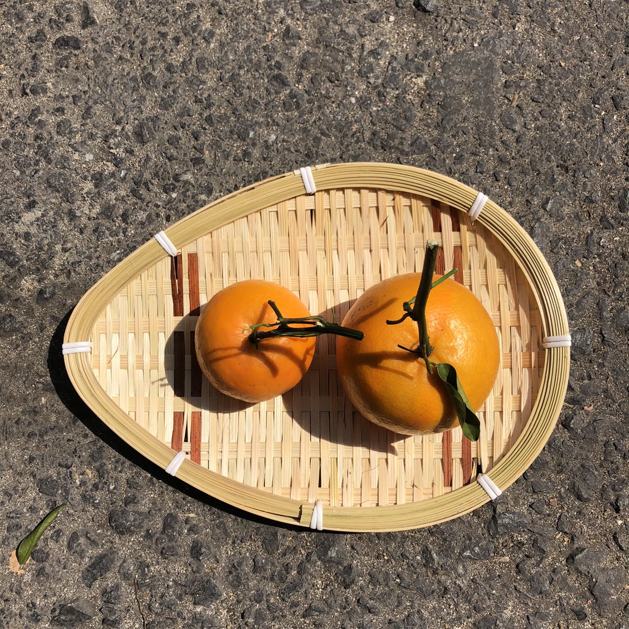 Mẹt Tre Hình Giọt Nước - Dĩa tre đựng đồ chụp ảnh