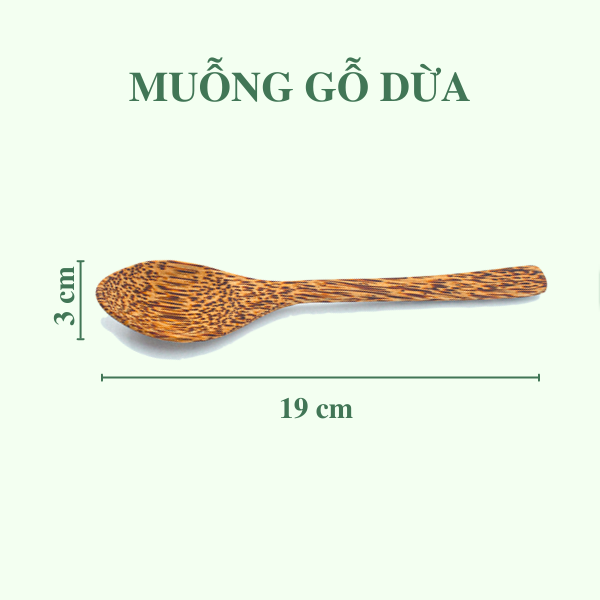 Muỗng gỗ dừa - Coconut Wooden Spoon