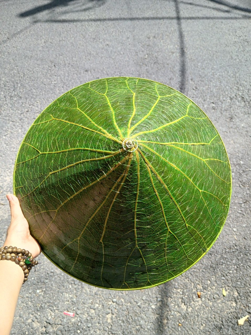 Nón lá bằng sen vẽ hoa - Nón lá sen chắc chắn (mẫu đẹp)