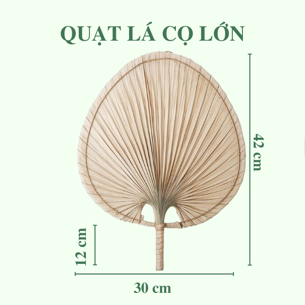 Quạt Lá Cọ - Quạt Cầm Tay Đan Thủ Công Decor / Treo tường