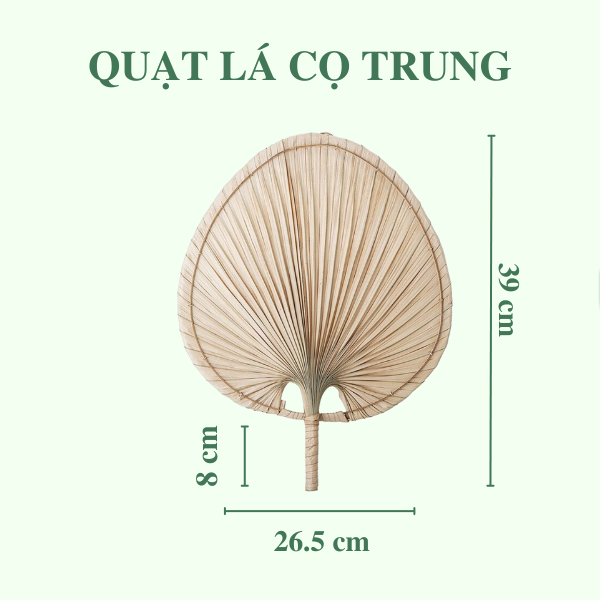 Quạt Lá Cọ - Quạt Cầm Tay Đan Thủ Công Decor / Treo tường