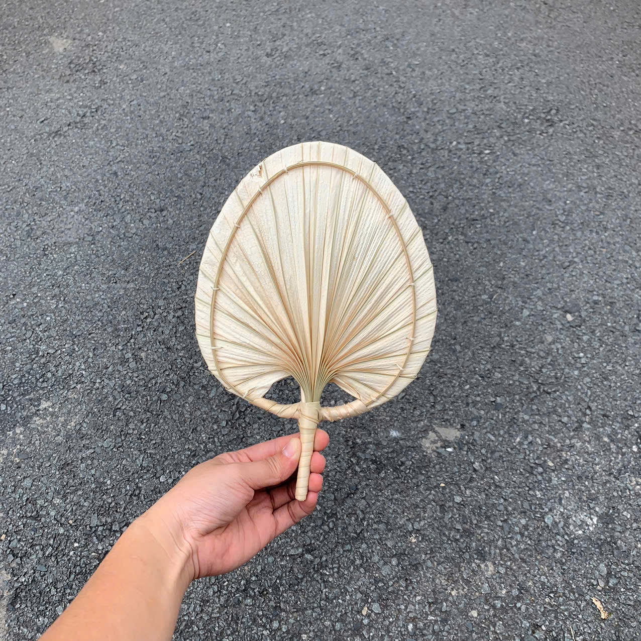 Quạt Lá Cọ - Quạt Cầm Tay Đan Thủ Công Decor / Treo tường