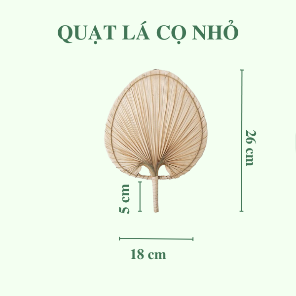 Quạt Lá Cọ - Quạt Cầm Tay Đan Thủ Công Decor / Treo tường