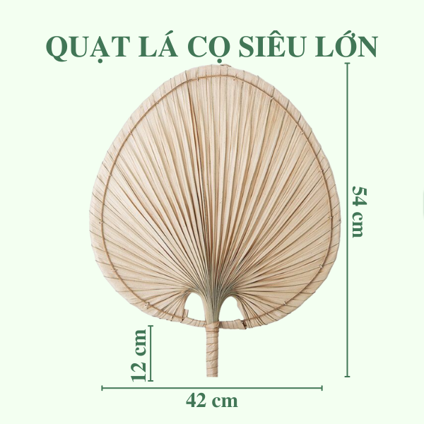 Quạt Lá Cọ - Quạt Cầm Tay Đan Thủ Công Decor / Treo tường