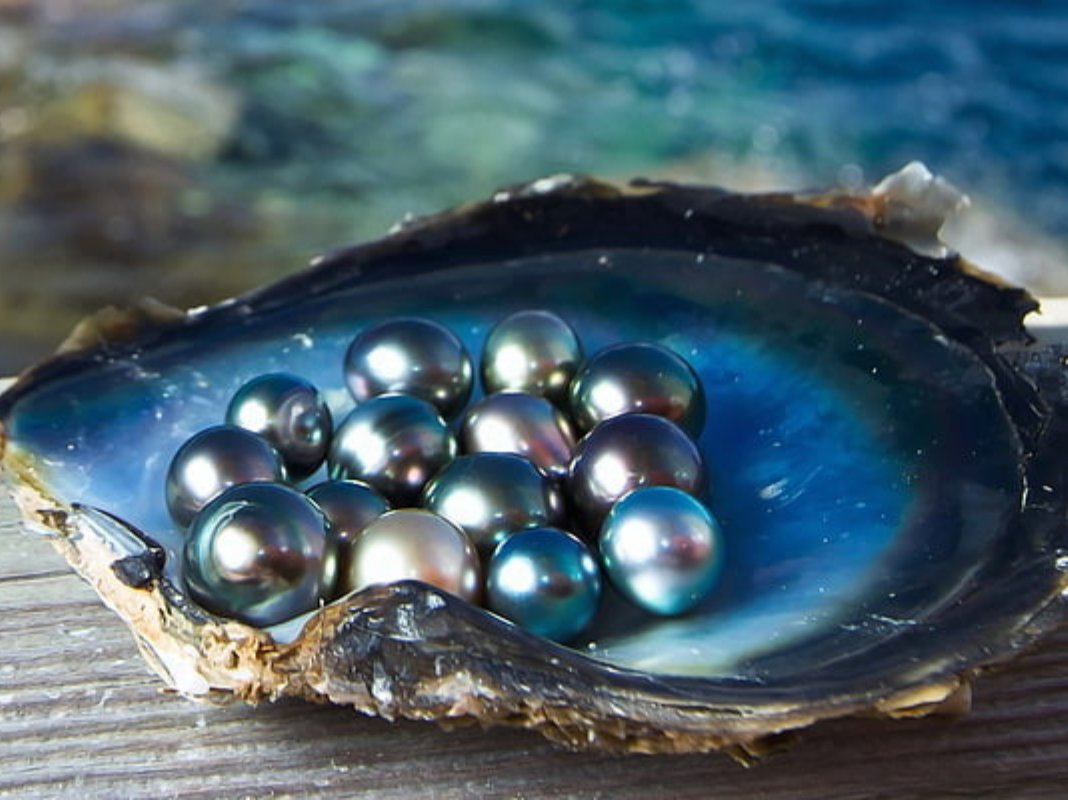 4 CÁCH SỬ DỤNG VÀ BẢO QUẢN TRANG SỨC NGỌC TRAI BỀN ĐẸP