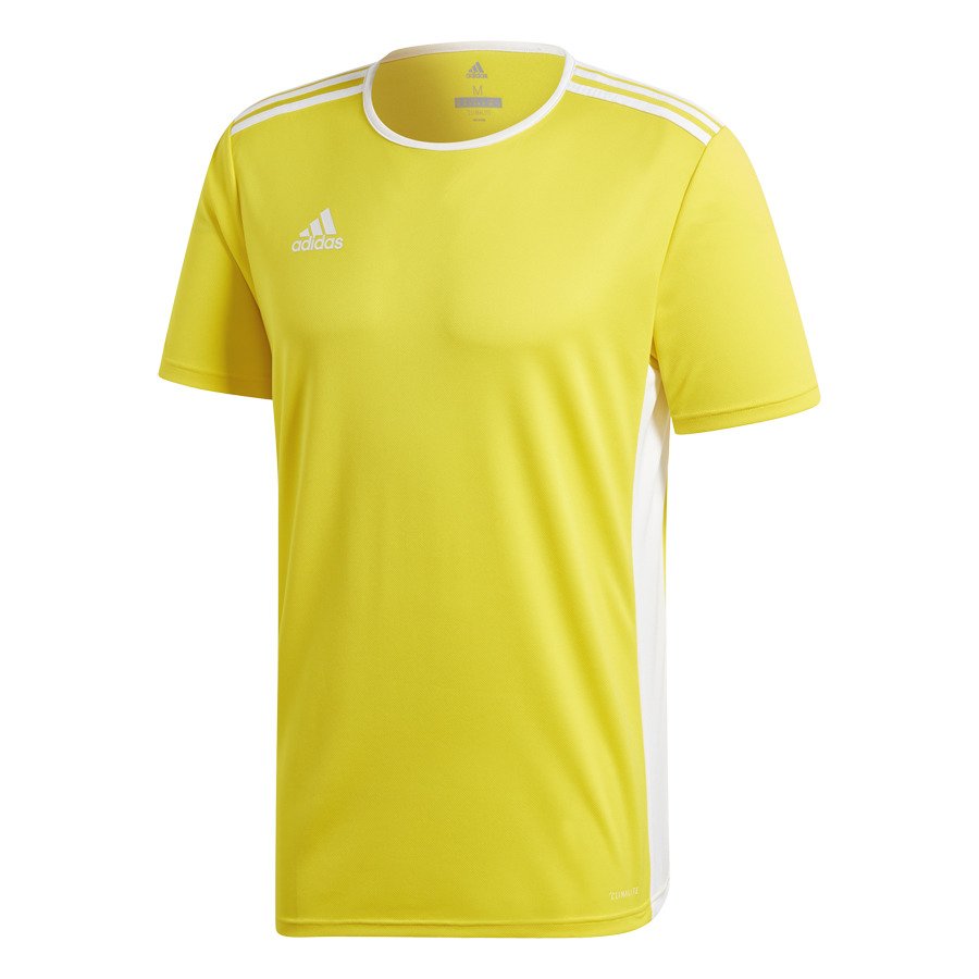 Áo Thể Thao Hè - Adidas Entrada 18 Jersey 'Yellow/White'