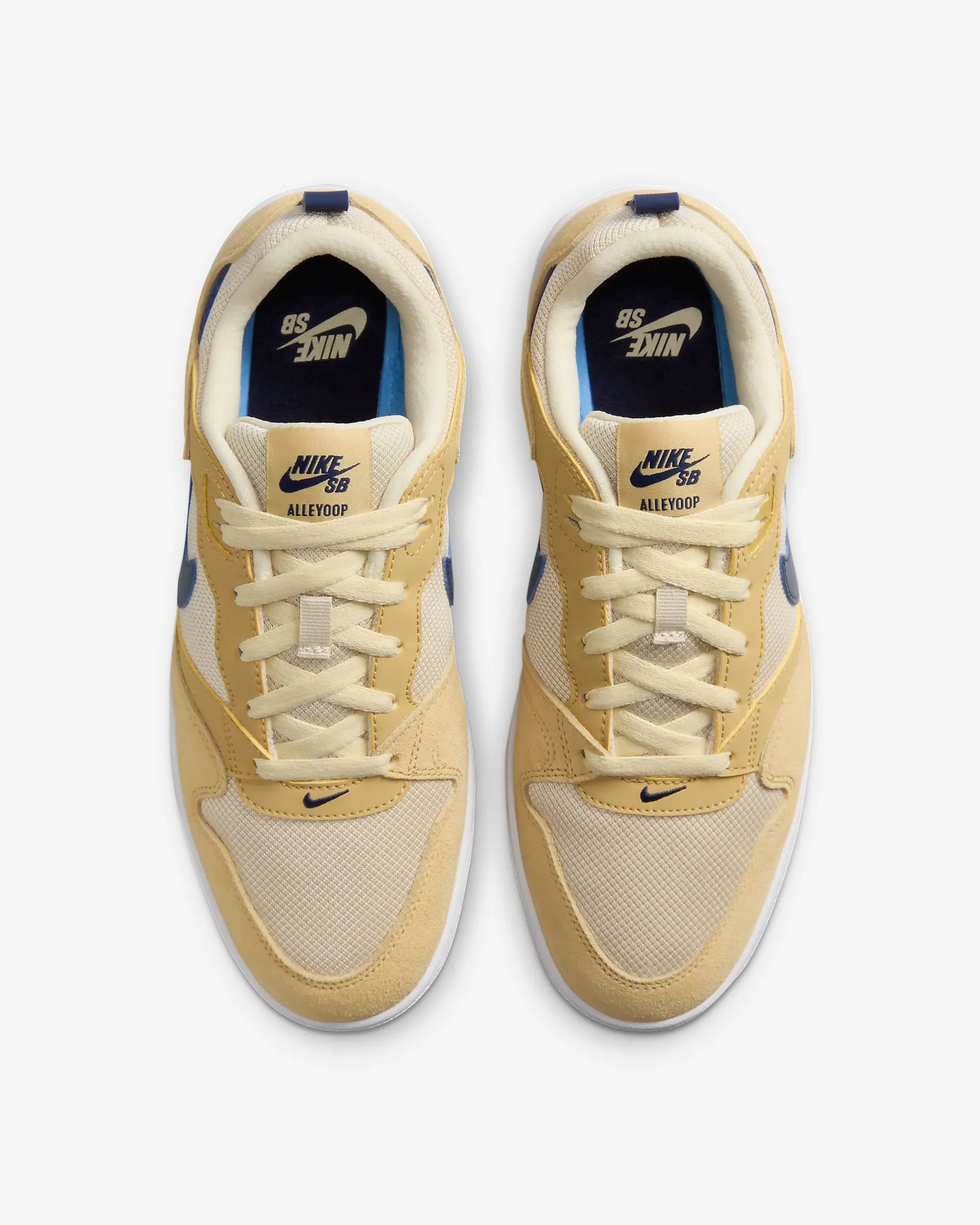 Giày Casual Chính Hãng - Nike SB Alleyoop 