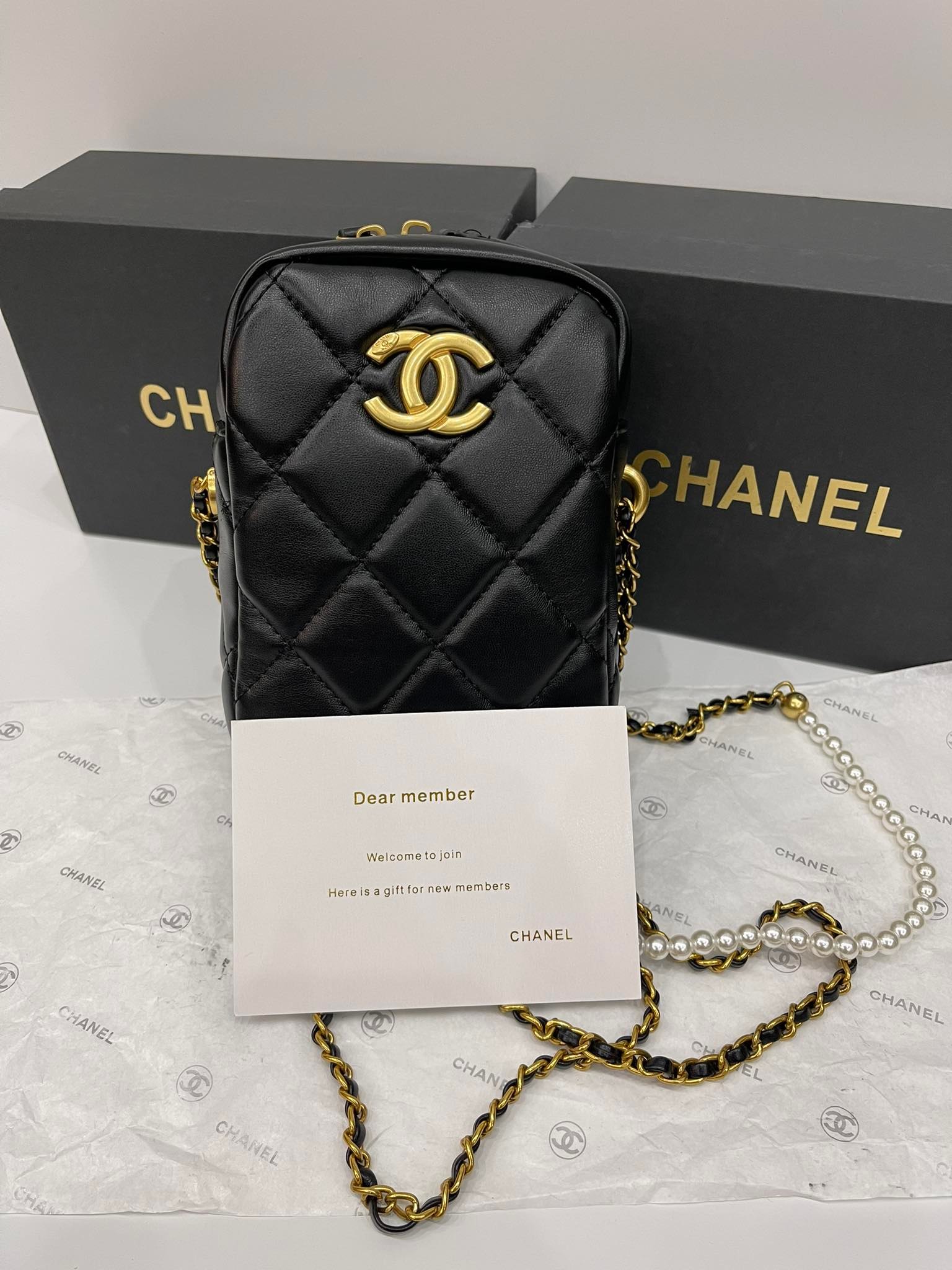 Tổng hợp với hơn 52 về chanel gift bag hay nhất  Du học Akina