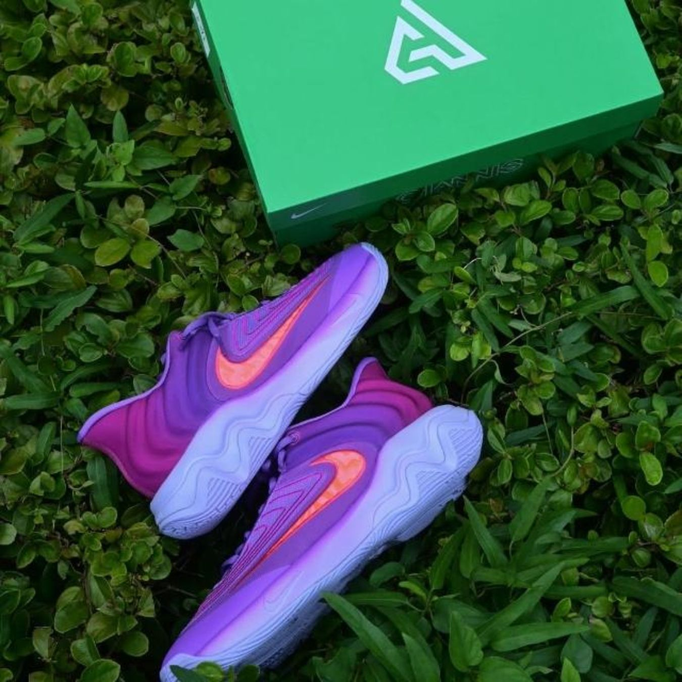 GIÀY BÓNG RỔ CHÍNH HÃNG  - Nike Giannis Immortality 4 EP Basketball Shoes 'Black Raspberry' - FQ3681-500