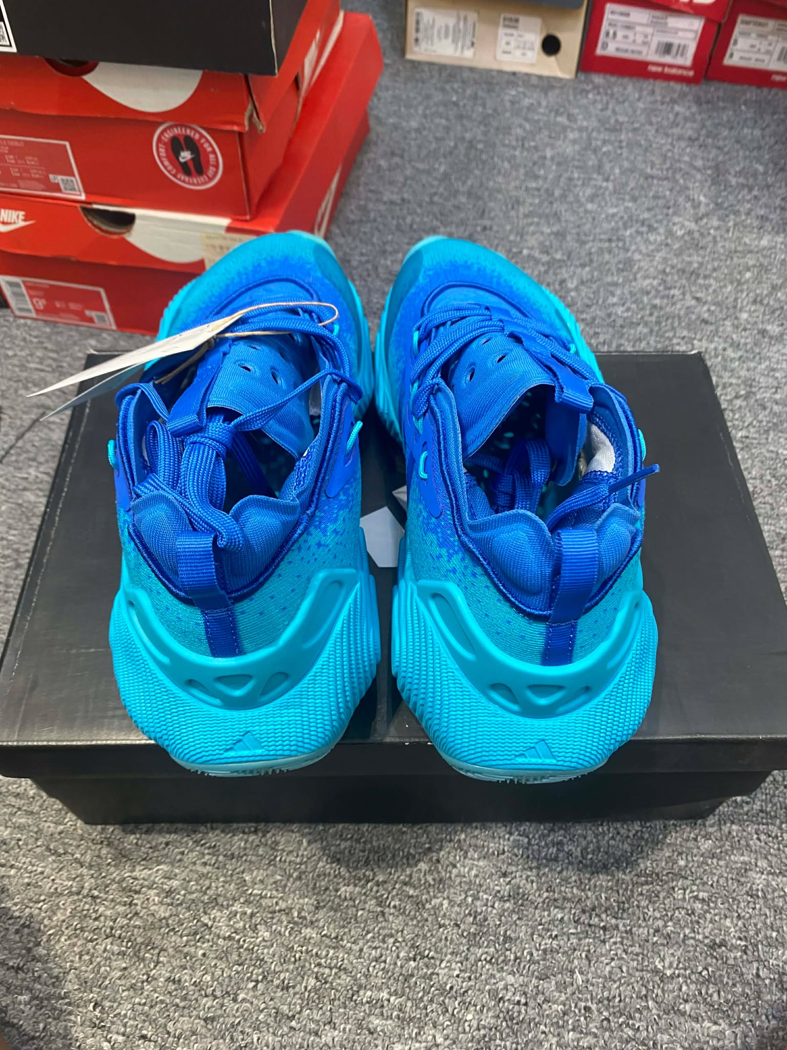 Giày Bóng Rổ Chính Hãng - Adidas Trae Young 3 