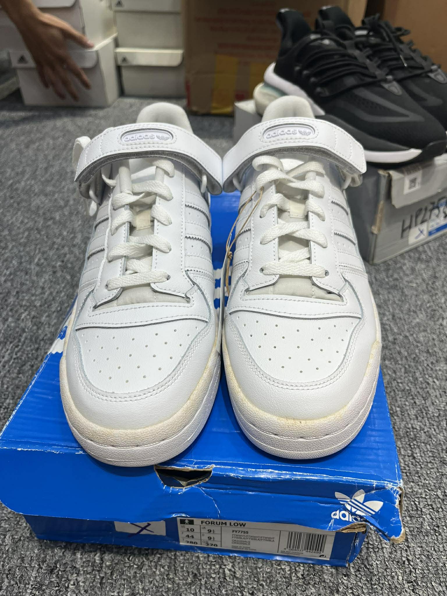 Giày Casual Chính Hãng - Adidas Forum Low 