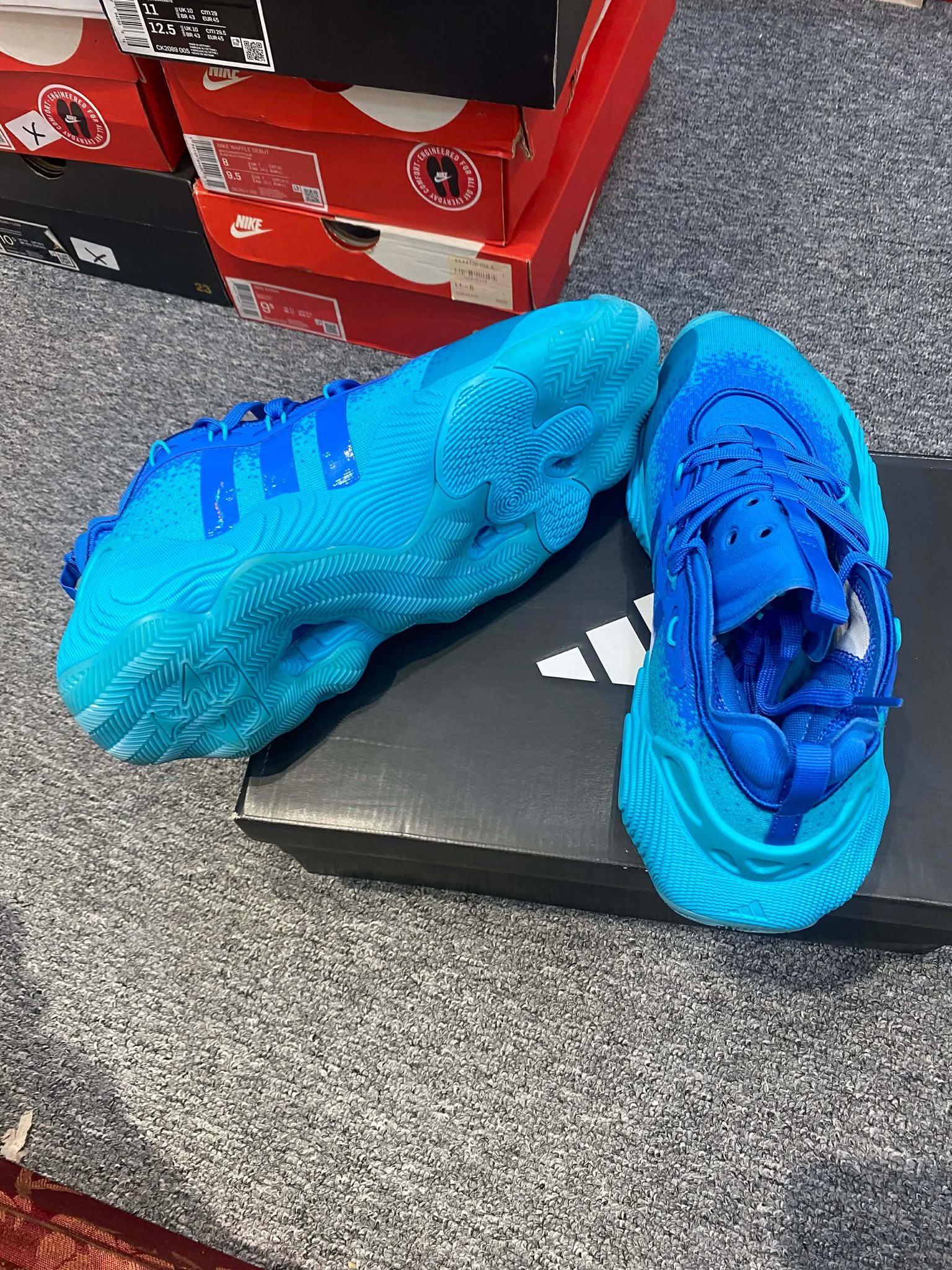 Giày Bóng Rổ Chính Hãng - Adidas Trae Young 3 