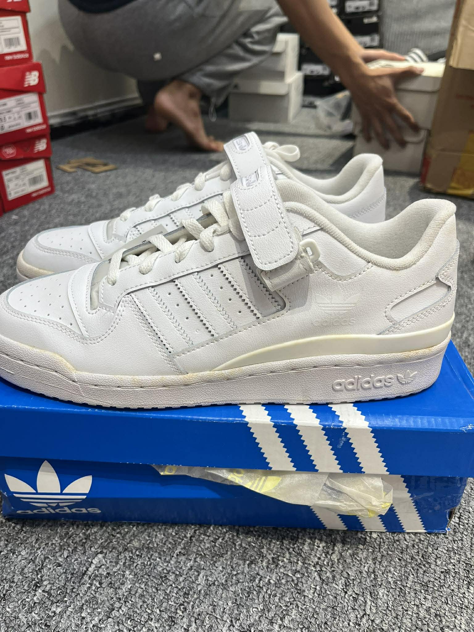 Giày Casual Chính Hãng - Adidas Forum Low 