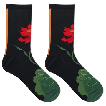 Phụ Kiện Chính Hãng - Tất Hot Sox Lotus Women's 'Black' (5 đôi/pack) - 047852422703